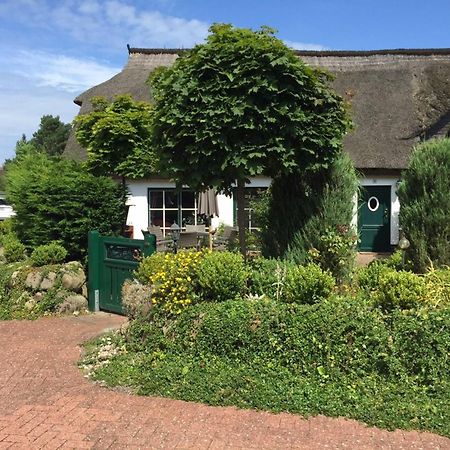 Birkenstrasse 10 Fischerhus Zingst Dış mekan fotoğraf