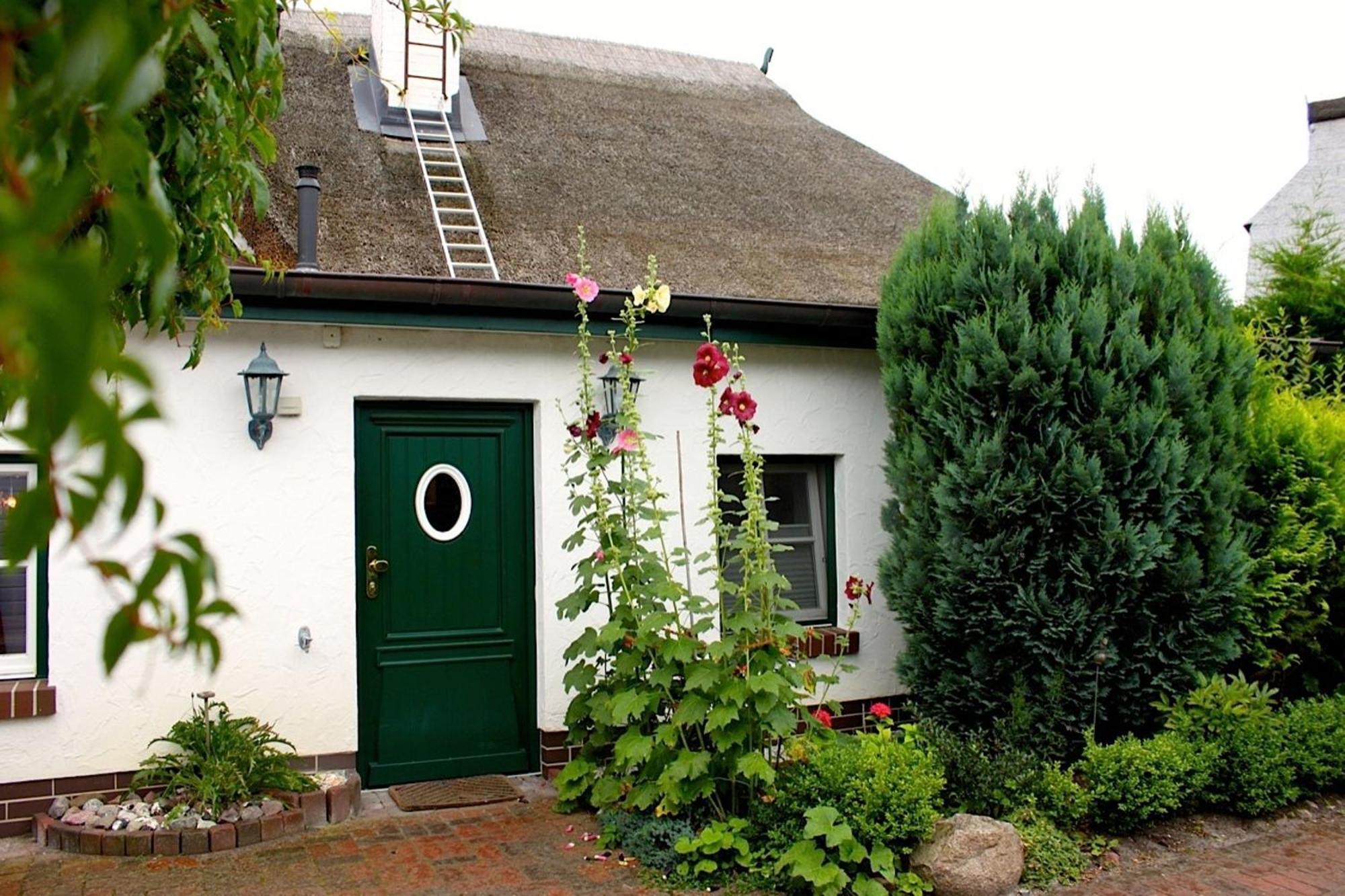 Birkenstrasse 10 Fischerhus Zingst Dış mekan fotoğraf